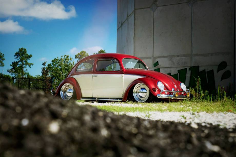 11406612_10206918844235726_2548071469620644780_o (1)