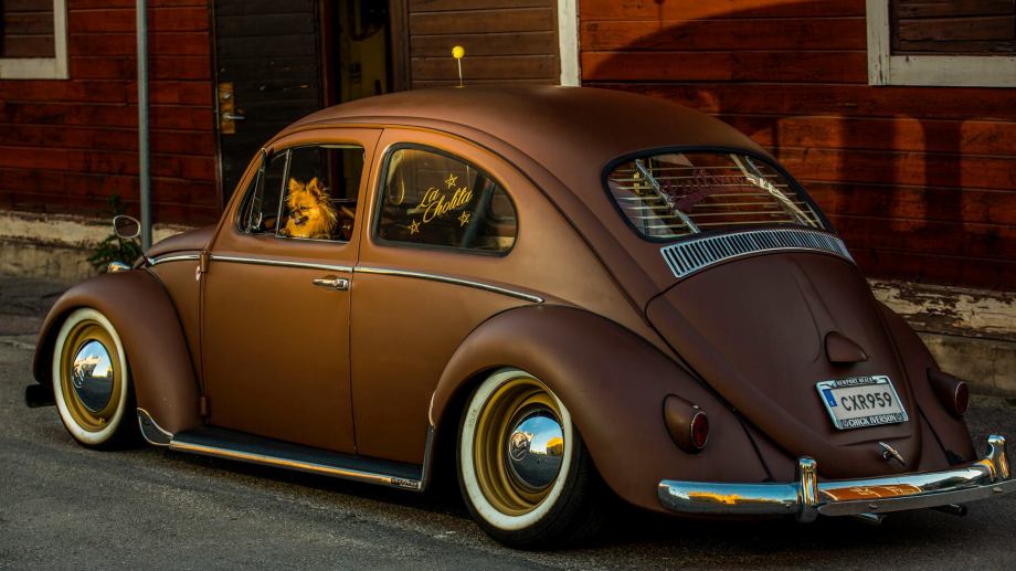 13403838_10153722000186849_9048948222929176758_o